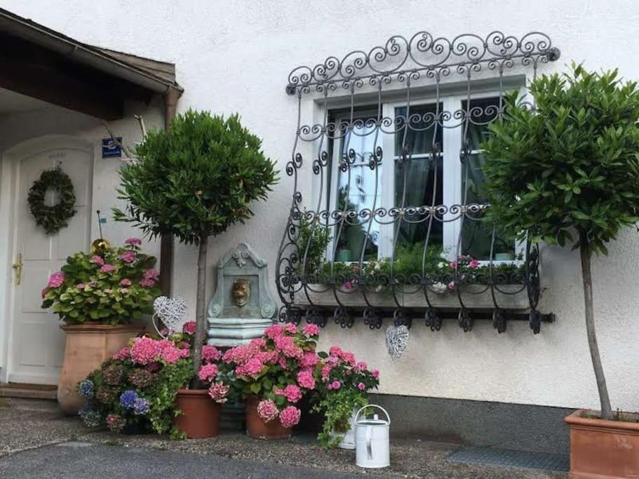 Dachwohnung Mit Seeblick Altmuenster Exterior photo